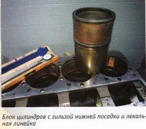 живот живот