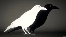 Я не знаю, чого хочу від життя знаю