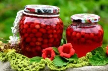 Ягода кизил, корисні властивості та способи заготівлі, народні рецепти кизил