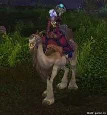 world warcraft