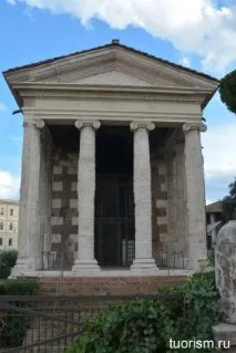 портуна virilis