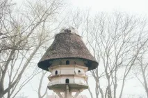 брюж ниско
