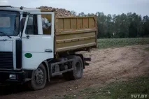 сила