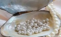 лечебни свойства