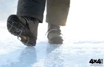 кішки