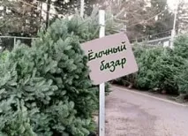 Зимовий бізнес як можна заробити взимку Працюючі ідеї для бізнесу заробити