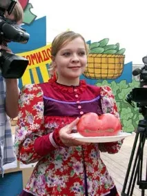 доматите Минусинск доматите Минусинск