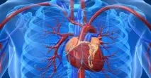 Зондування серця особливості процедури процедури