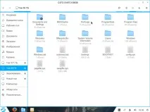 Zorin OS Windows