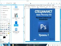 Zorin OS Windows