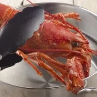 морски които
