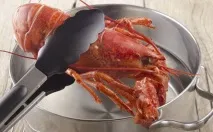 шокиращи шокиращи