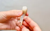 морски факти