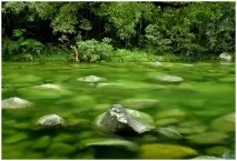 реки водата