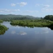 аргазинское аргазинское