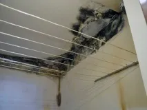 Антигрибкова ґрунтовка для ванної кімнати яквибрати та застосовувати кімнати