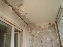 Антигрибкова ґрунтовка для ванної кімнати яквибрати та застосовувати кімнати