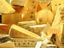 Білоукраїнські сири назви, виробники, склад, відгуки сири