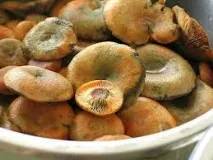 гъби мариноване