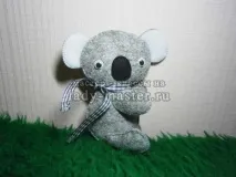 филц коала