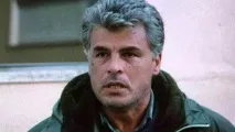 Якудза, «Коза Ностра», «мурахи» із Сальвадора: топ найвідоміших мафіозі мурахи