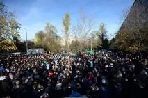 бірюльово