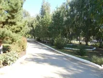 Екотерапія ходьба