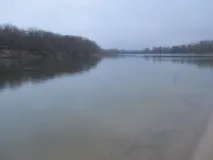 дону