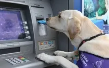 опціони