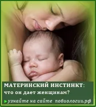 гъбите гъбите