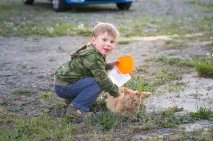Що робити, якщо дитина принесла тварину з вулиці дитина