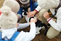 Що робити, якщо дитина принесла тварину з вулиці вулиці