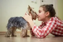 Що робити, якщо дитина принесла тварину з вулиці дитина