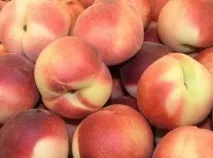полезни защо