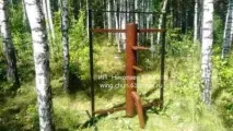 винг винг