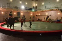 Що чекає на Алматинський цирк алматинський