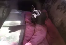 колата седеше