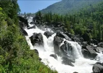 красота учар