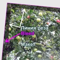Що таке Bleed зробити
