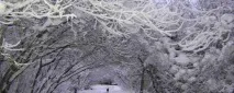 Село Кавелахта Кавелахта