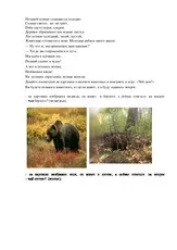 Дикі - «Як дикі тварини готуються до дикі