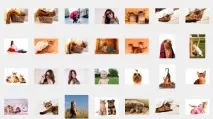 използва shutterstock