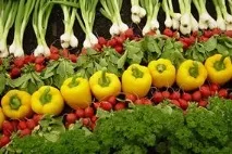 Дієта при поліпах у жовчному міхурі Заборонені продукти дієта