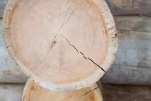 мъртъв KELO deadwood
