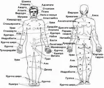 Дім Мак - Техніка заснована на базі прийомів по нервових точках нервових