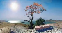Екскурсія на могилу Волошина у Коктебелі (ФОТО) волошина