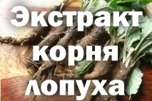 употреба репей