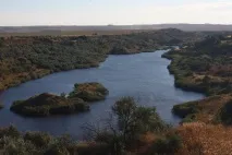 ефективна