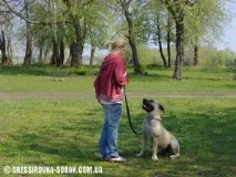 кучета обучение