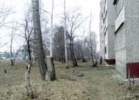 вестник вестник